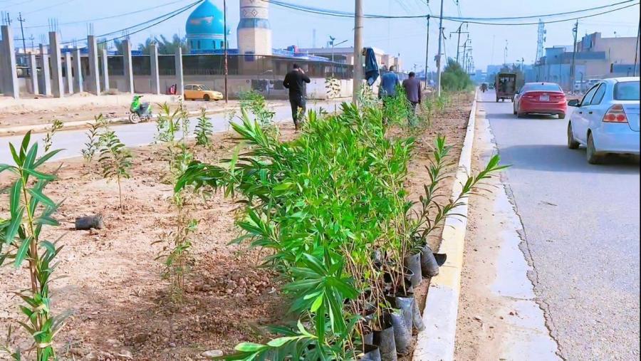 محافظة بغداد تعلن زراعة ١٠ الاف شتلة في قضاء الزهور