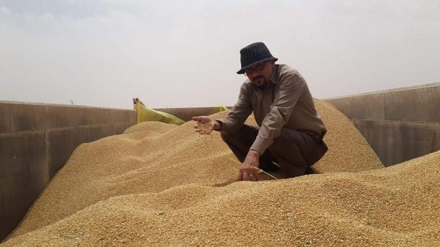 مديرية زراعة بغداد الرصافة " تواصل متابعاتها الميدانية لعمليات الحصاد لمحصولي الحنطة والشعير .. وتسويق أكثر من 20 ألف طن"